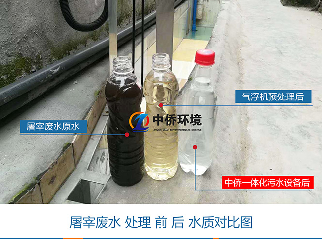 屠宰污水經氣浮機一體化污水處理設備前后水質對比圖