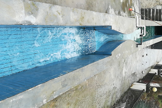 經(jīng)過一體化生活污水處理設備處理后水質圖